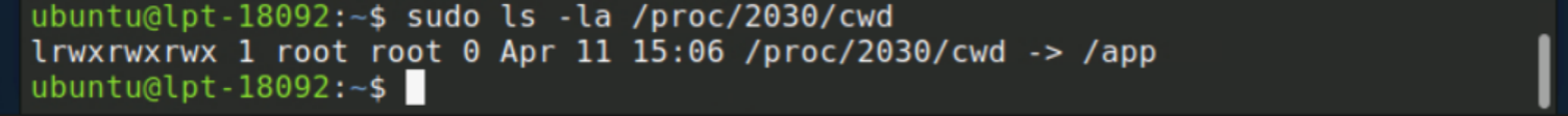 /proc/2030/cwd pointing to /app — suspicious system directory